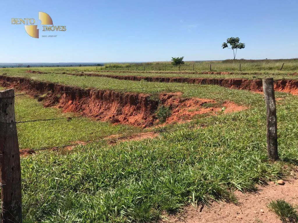 Fazenda à venda de 21.100 ha em Diamantino, MT, Brasil