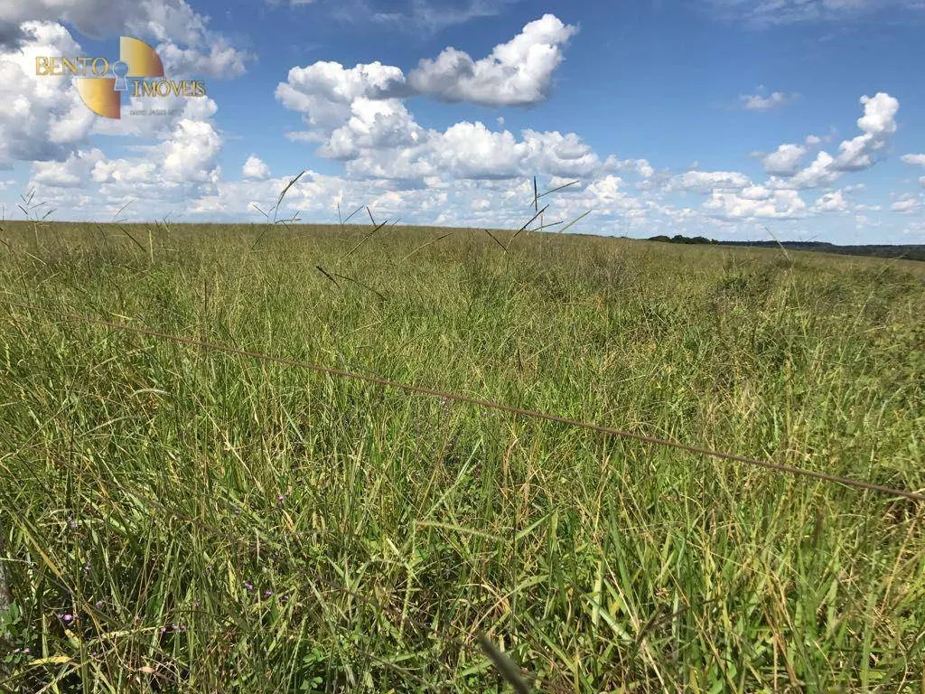 Fazenda à venda de 21.100 ha em Diamantino, MT, Brasil