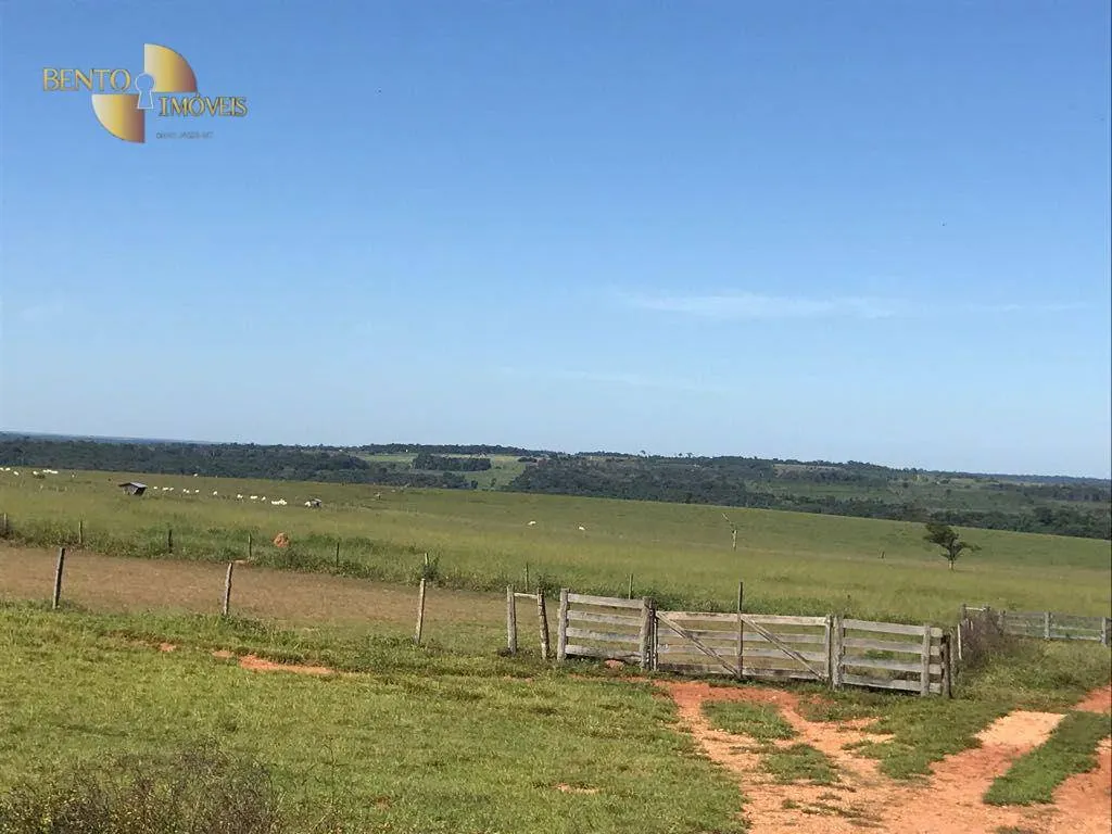 Fazenda à venda de 21.100 ha em Diamantino, MT, Brasil