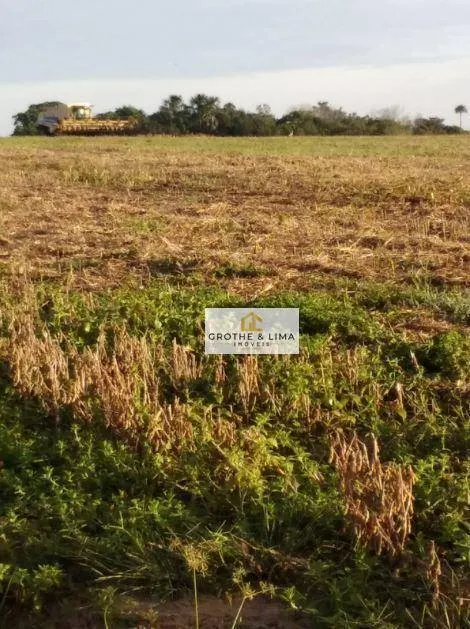 Fazenda à venda de 2.420 ha em Araguaína, TO, Brasil