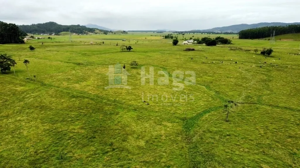 Fazenda à venda de 37 ha em Tijucas, SC, Brasil