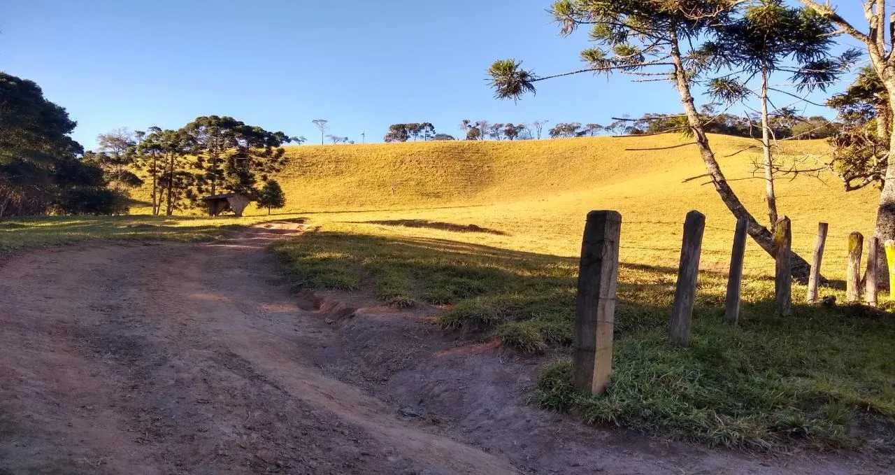 Fazenda à venda de 250 ha em Ouro Fino, MG, Brasil