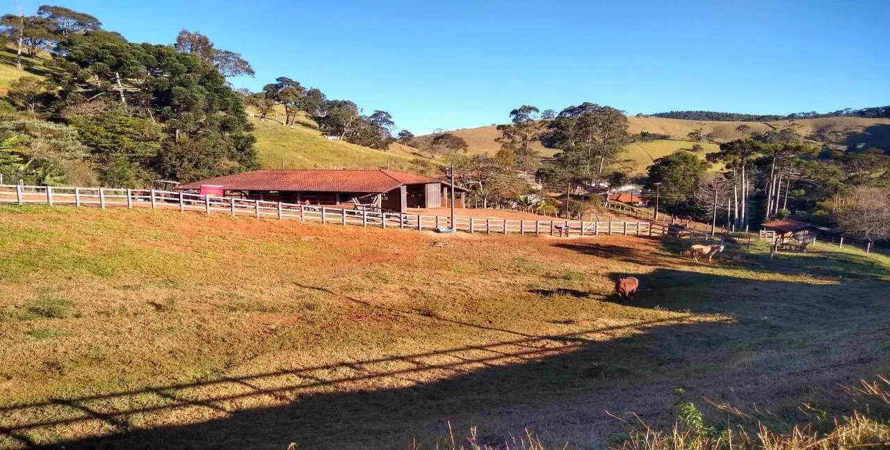 Fazenda à venda de 250 ha em Ouro Fino, MG, Brasil