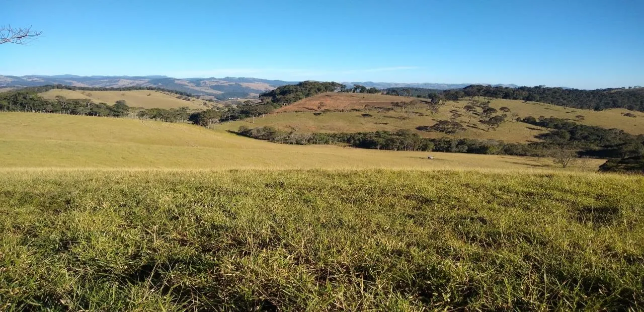 Fazenda à venda de 250 ha em Ouro Fino, MG, Brasil