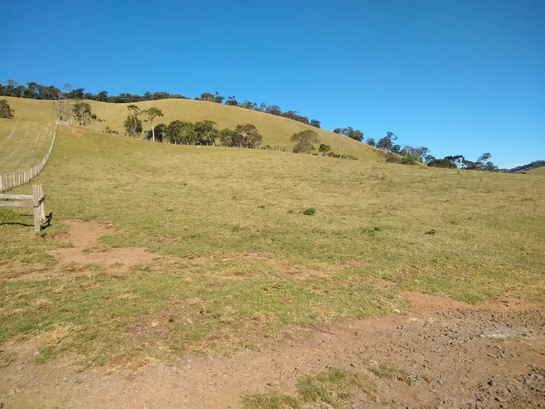 Fazenda à venda de 250 ha em Ouro Fino, MG, Brasil