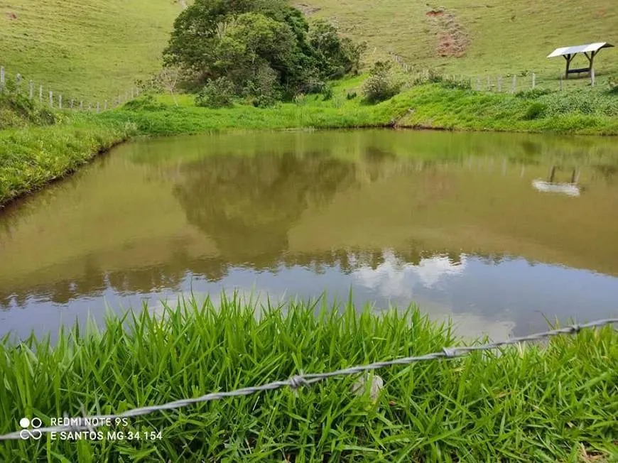 Fazenda à venda de 250 ha em Ouro Fino, MG, Brasil