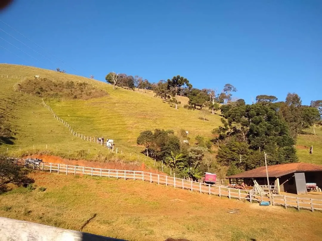 Fazenda à venda de 250 ha em Ouro Fino, MG, Brasil