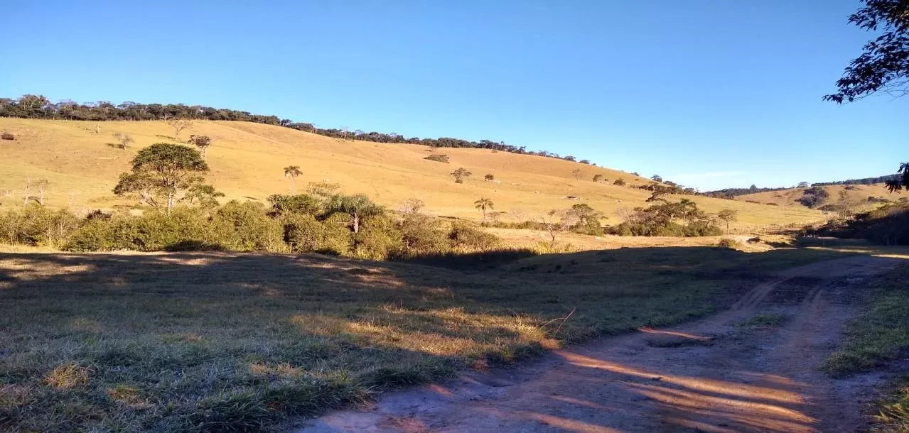 Fazenda à venda de 250 ha em Ouro Fino, MG, Brasil