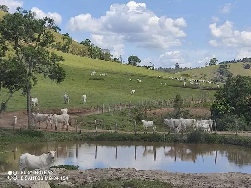 Fazenda à venda de 250 ha em Ouro Fino, MG, Brasil