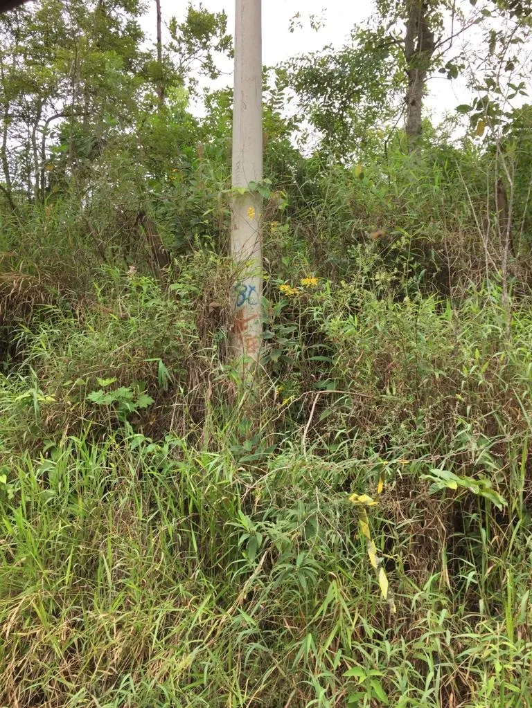 Fazenda à venda de 250 ha em Ouro Fino, MG, Brasil