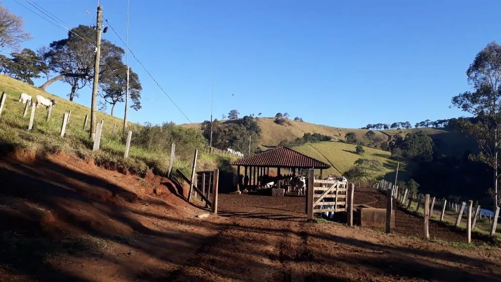 Fazenda à venda de 250 ha em Ouro Fino, MG, Brasil