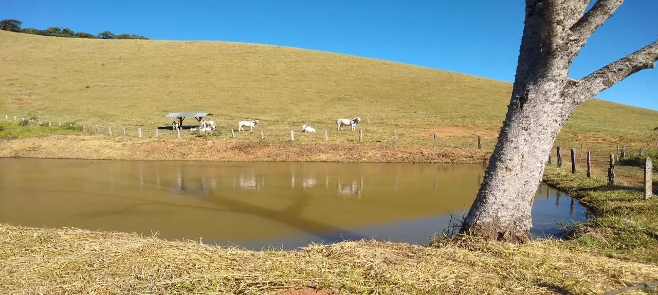 Fazenda à venda de 250 ha em Ouro Fino, MG, Brasil