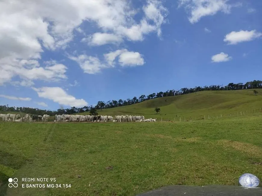 Fazenda à venda de 250 ha em Ouro Fino, MG, Brasil