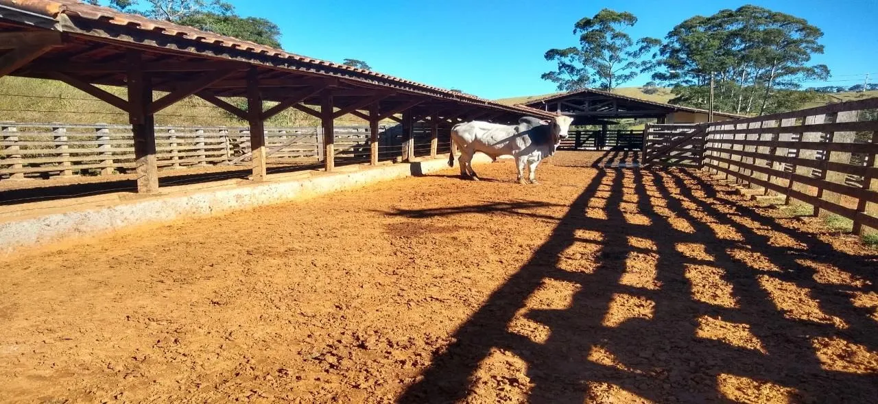 Fazenda à venda de 250 ha em Ouro Fino, MG, Brasil
