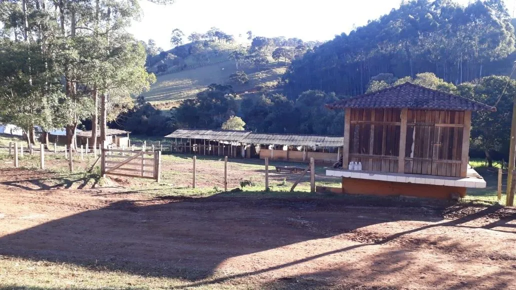 Fazenda à venda de 250 ha em Ouro Fino, MG, Brasil
