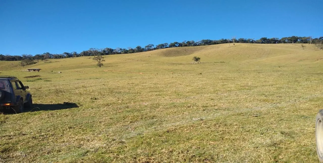 Fazenda à venda de 250 ha em Ouro Fino, MG, Brasil