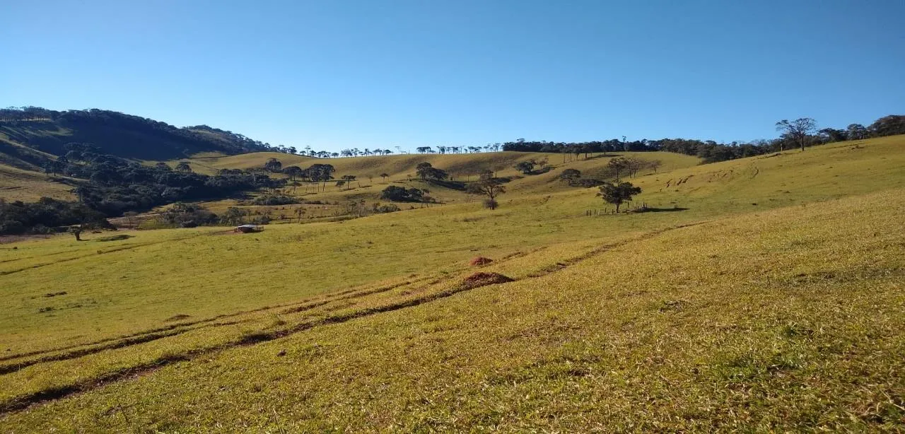 Fazenda à venda de 250 ha em Ouro Fino, MG, Brasil