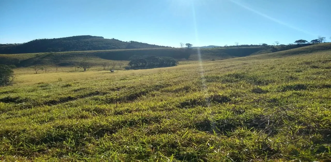 Fazenda à venda de 250 ha em Ouro Fino, MG, Brasil