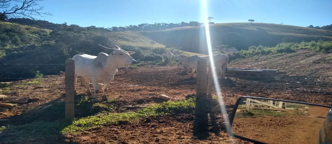 Fazenda à venda de 250 ha em Ouro Fino, MG, Brasil