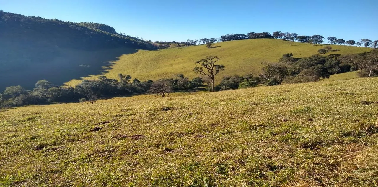 Fazenda à venda de 250 ha em Ouro Fino, MG, Brasil