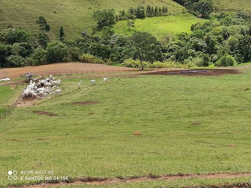 Fazenda à venda de 250 ha em Ouro Fino, MG, Brasil