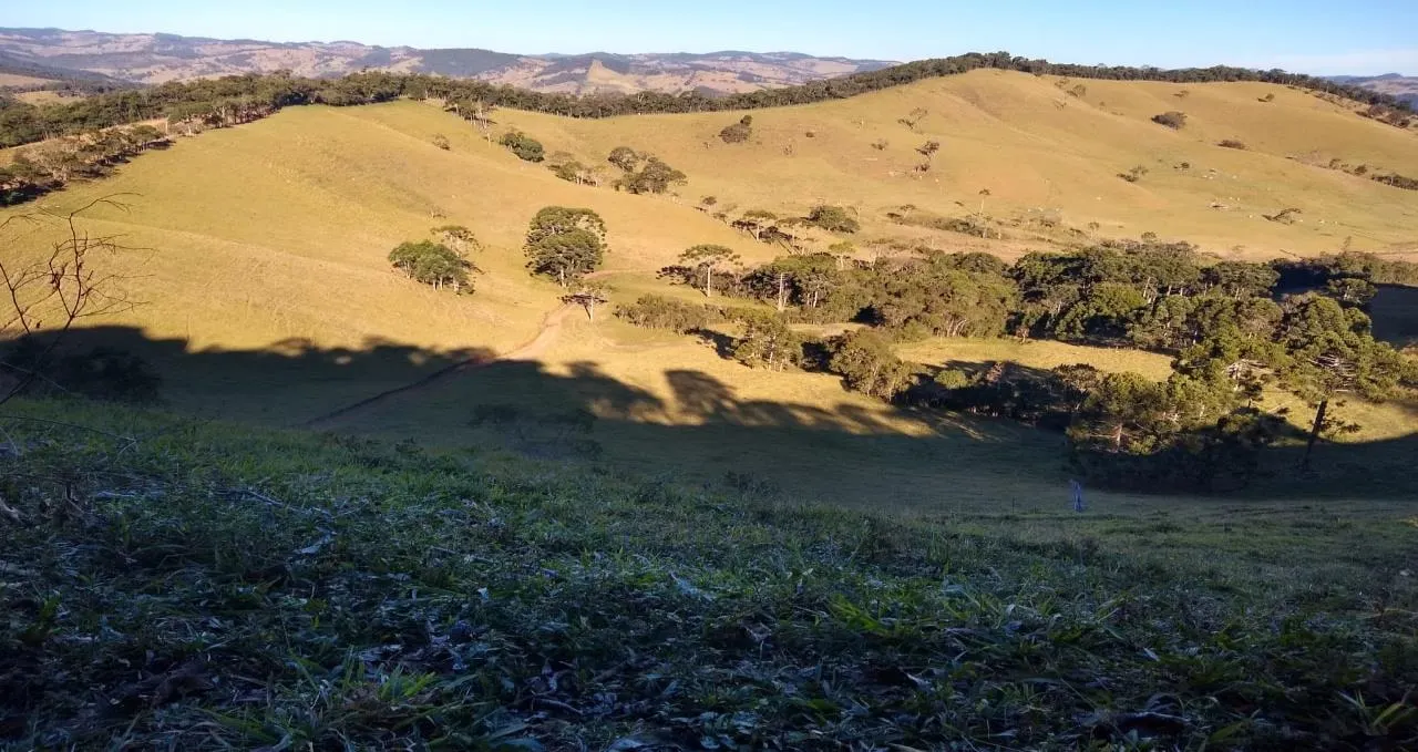 Fazenda à venda de 250 ha em Ouro Fino, MG, Brasil