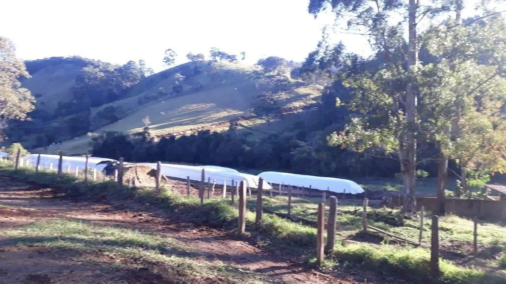 Fazenda à venda de 250 ha em Ouro Fino, MG, Brasil