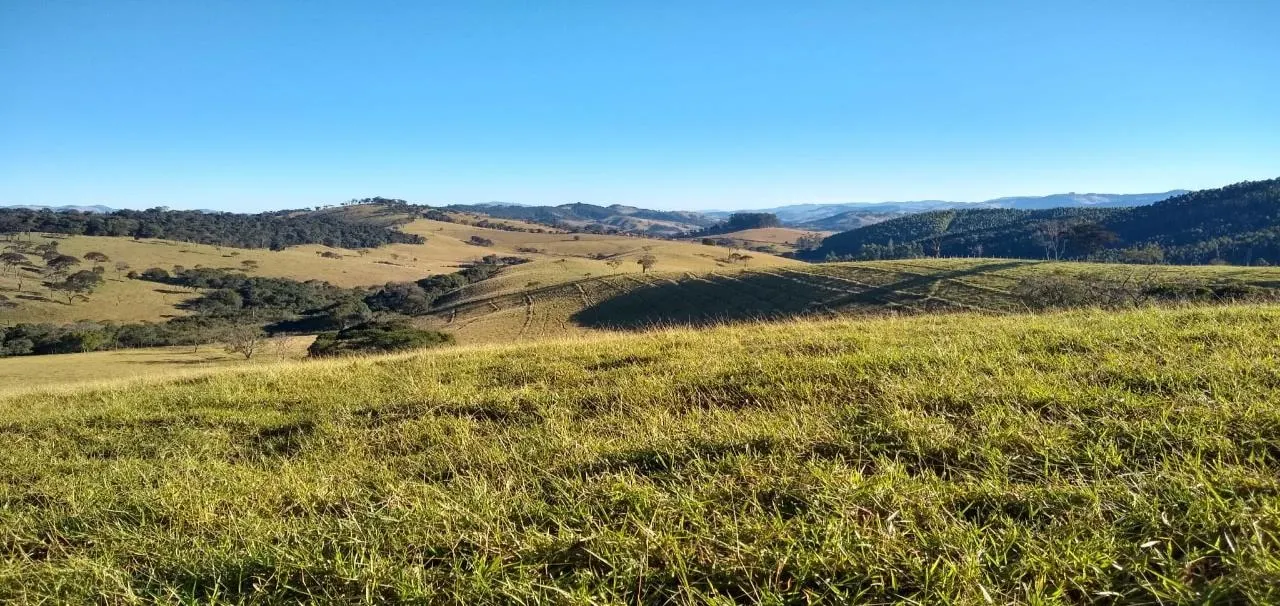 Fazenda à venda de 250 ha em Ouro Fino, MG, Brasil