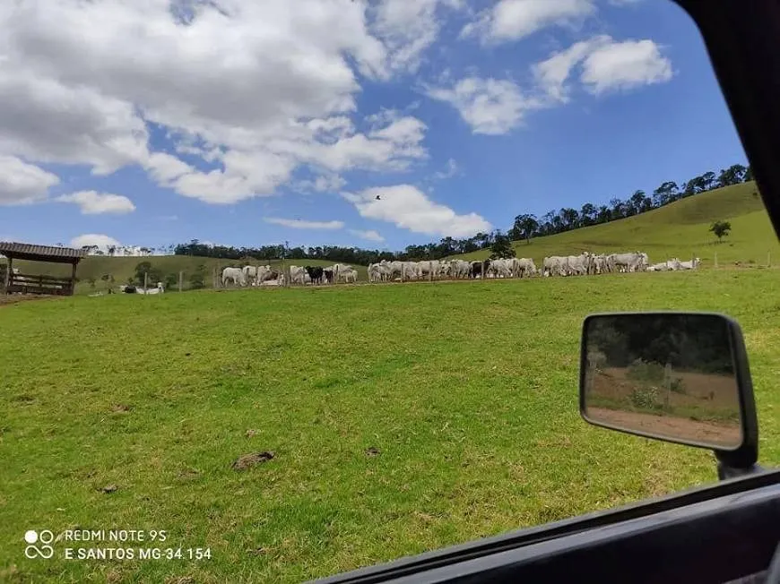 Fazenda à venda de 250 ha em Ouro Fino, MG, Brasil