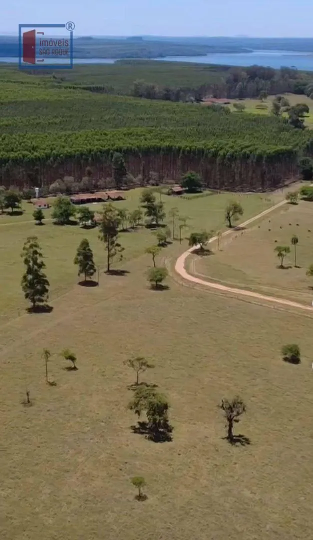 Fazenda à venda de 358 ha em Paranapanema, SP, Brasil