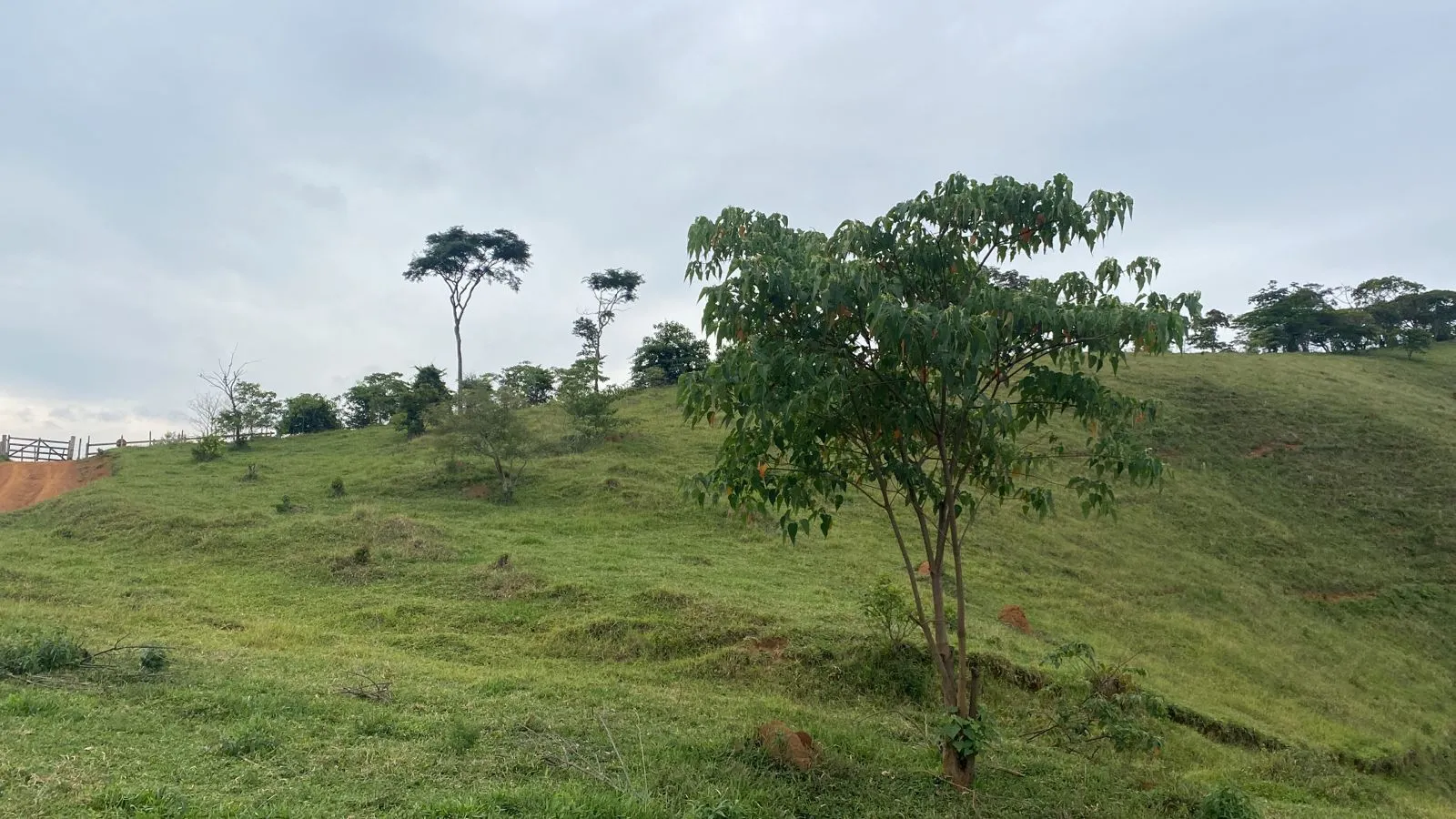 Sítio à venda de 26 ha em Santos Dumont, MG, Brasil