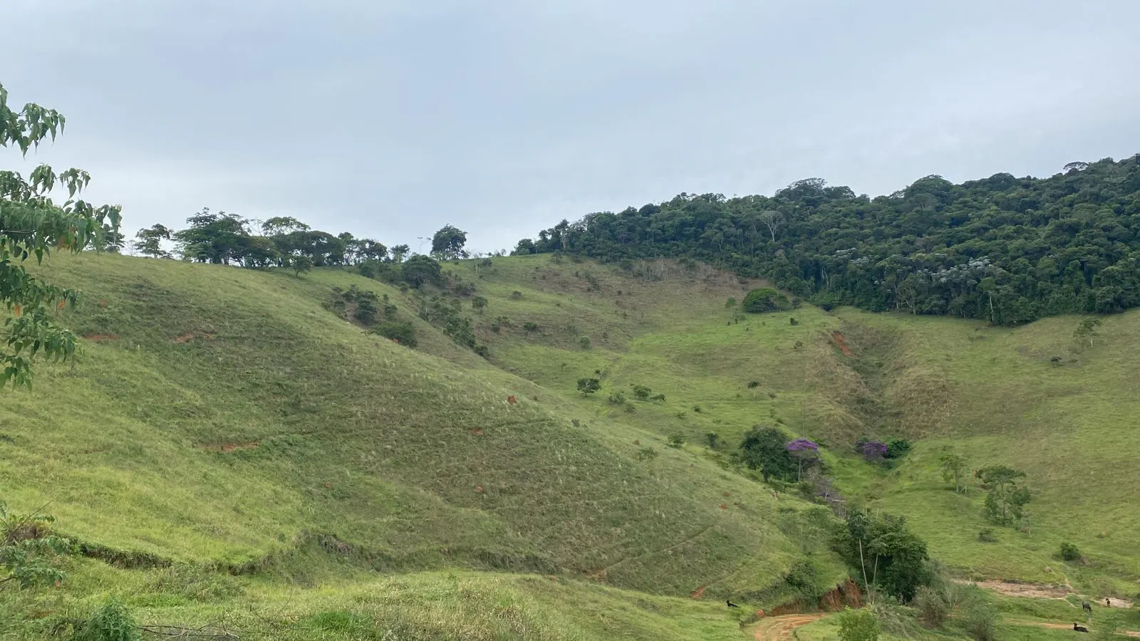 Sítio à venda de 26 ha em Santos Dumont, MG, Brasil