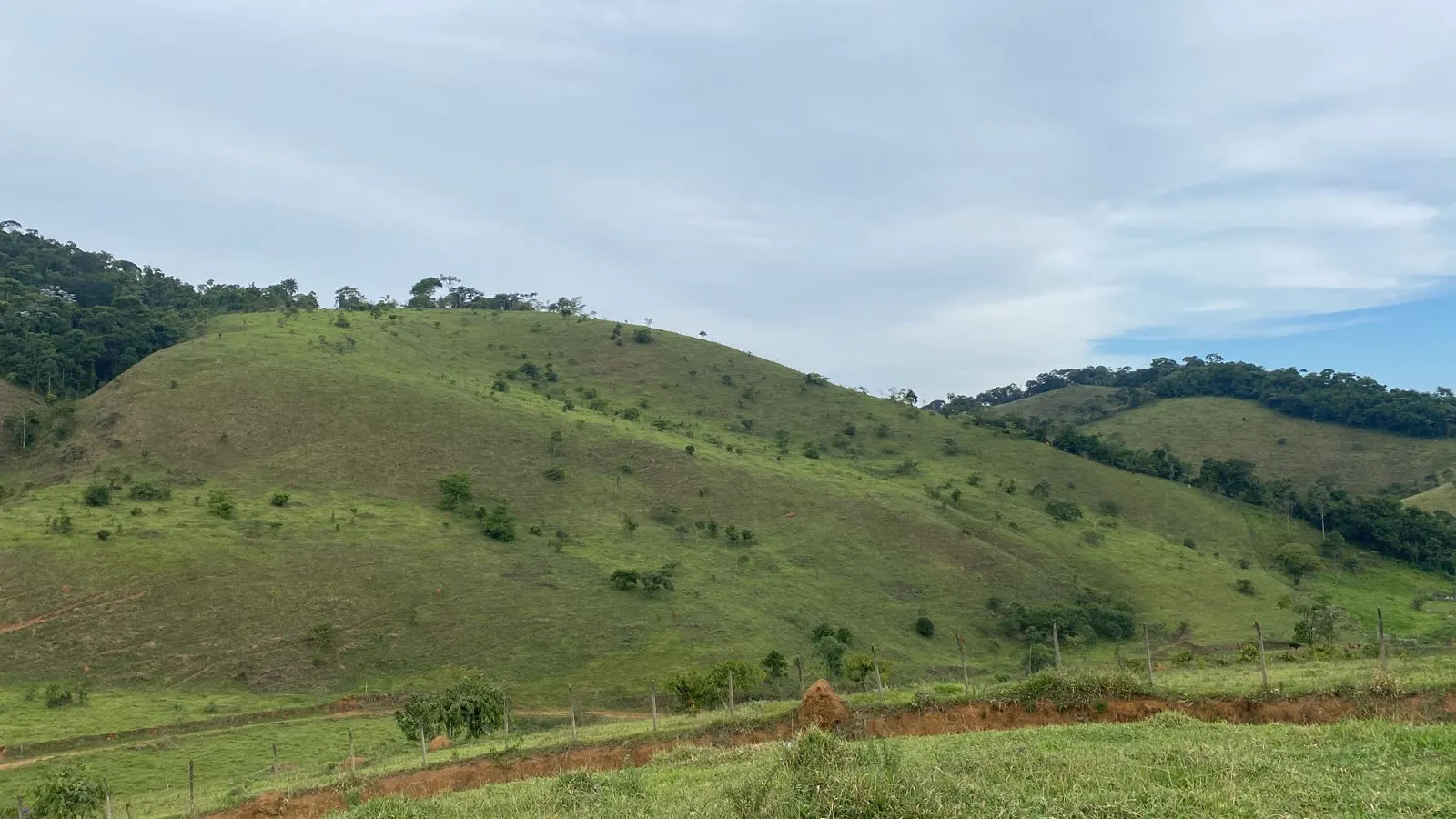 Sítio à venda de 26 ha em Santos Dumont, MG, Brasil