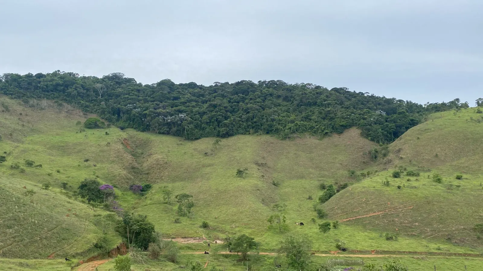Sítio à venda de 26 ha em Santos Dumont, MG, Brasil