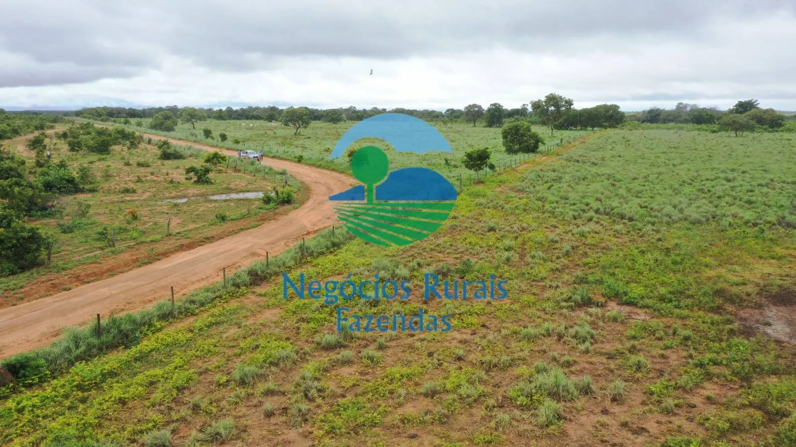 Fazenda à venda e para Arrendar de 1.258 ha em Peixe, TO, Brasil