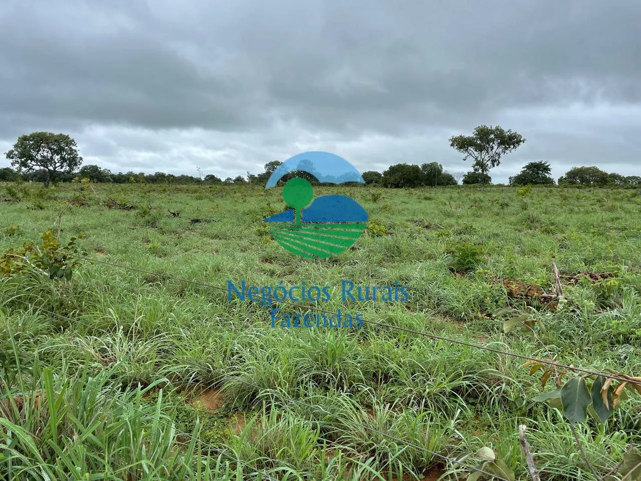 Fazenda à venda e para Arrendar de 1.258 ha em Peixe, TO, Brasil