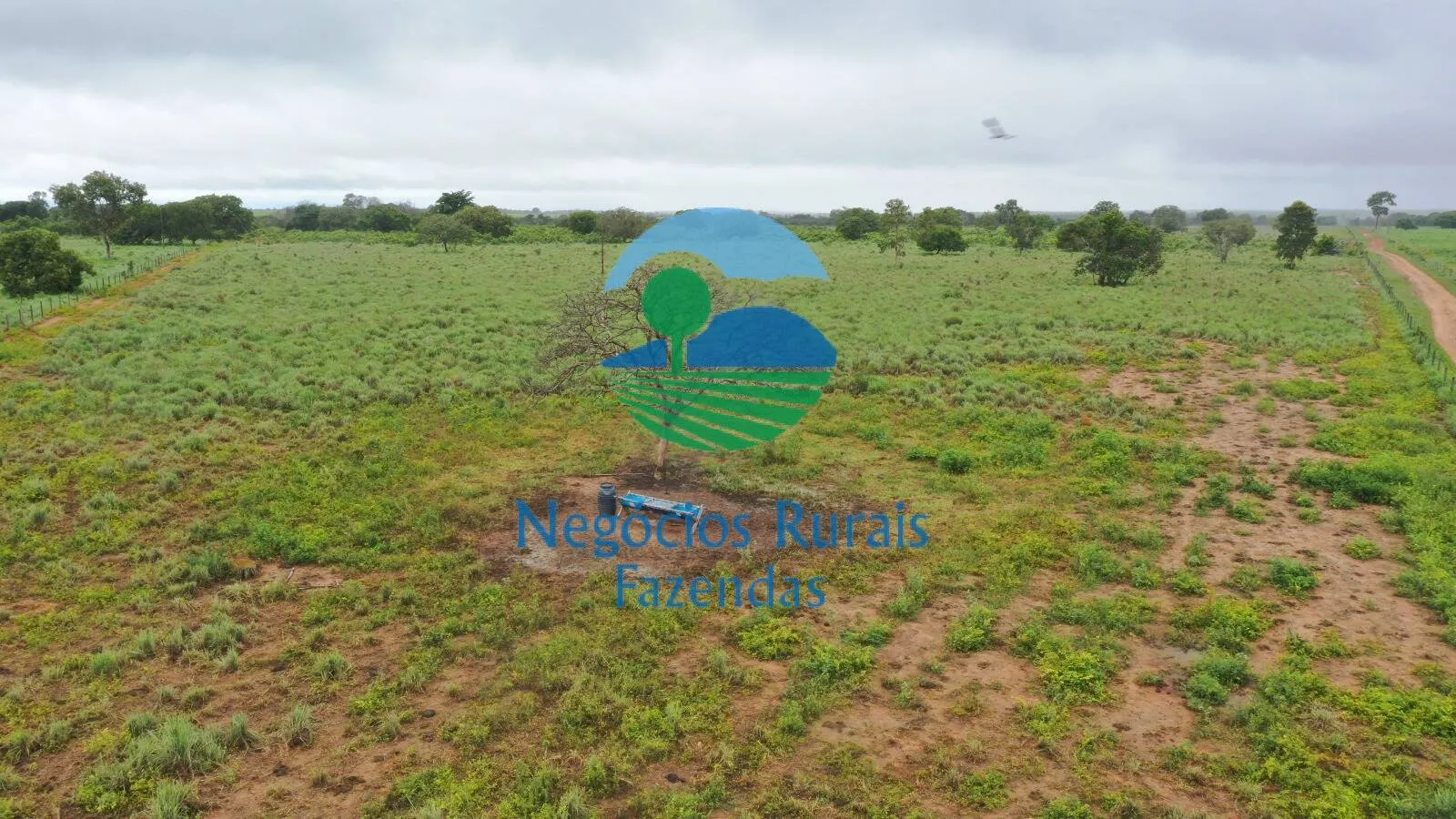 Fazenda à venda e para Arrendar de 1.258 ha em Peixe, TO, Brasil