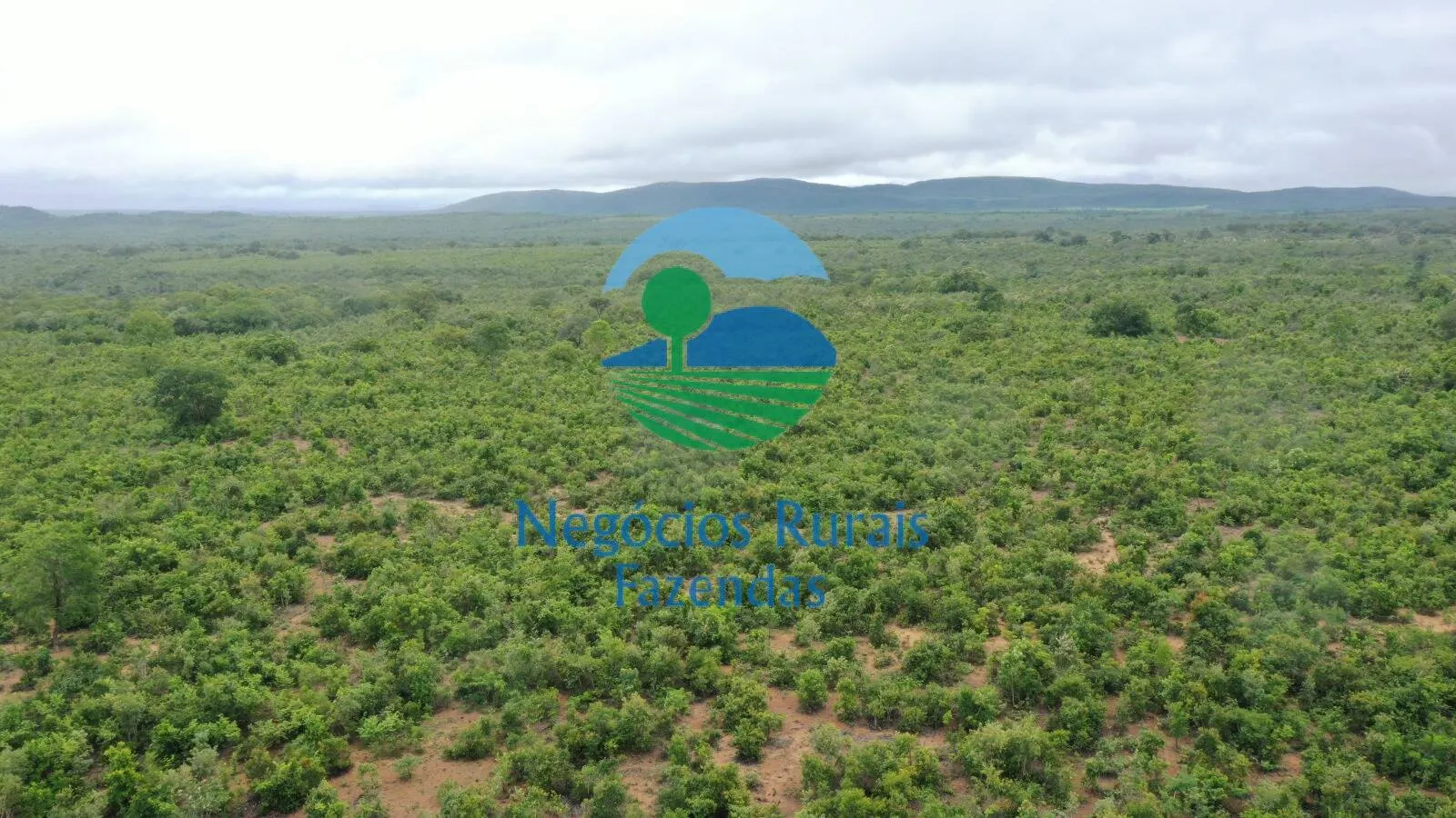 Fazenda à venda e para Arrendar de 1.258 ha em Peixe, TO, Brasil
