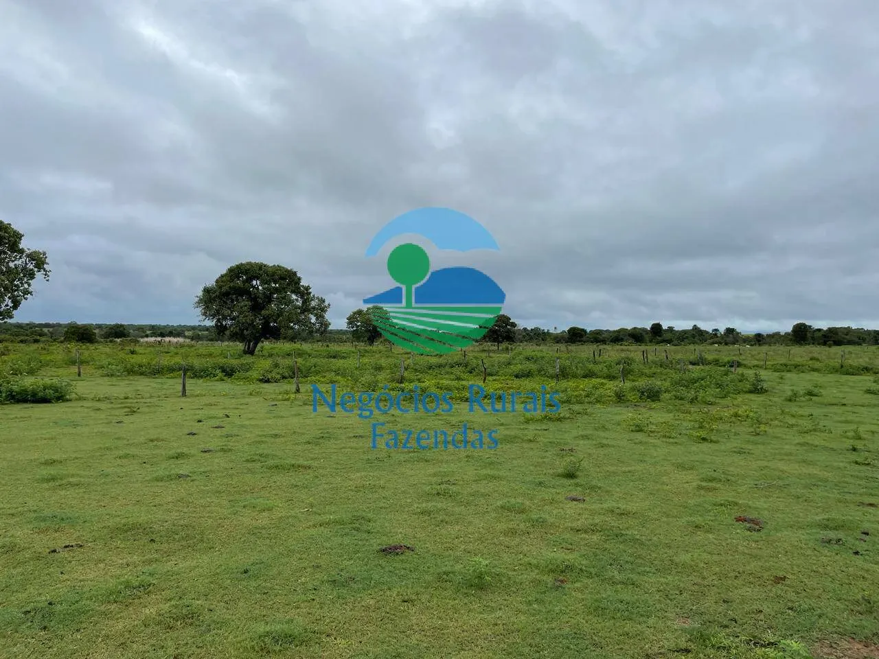 Fazenda à venda e para Arrendar de 1.258 ha em Peixe, TO, Brasil