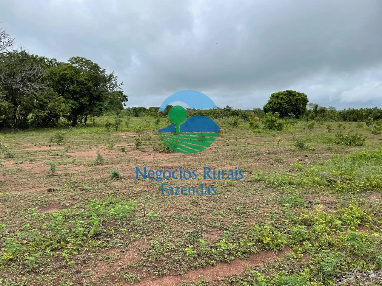 Fazenda à venda e para Arrendar de 1.258 ha em Peixe, TO, Brasil