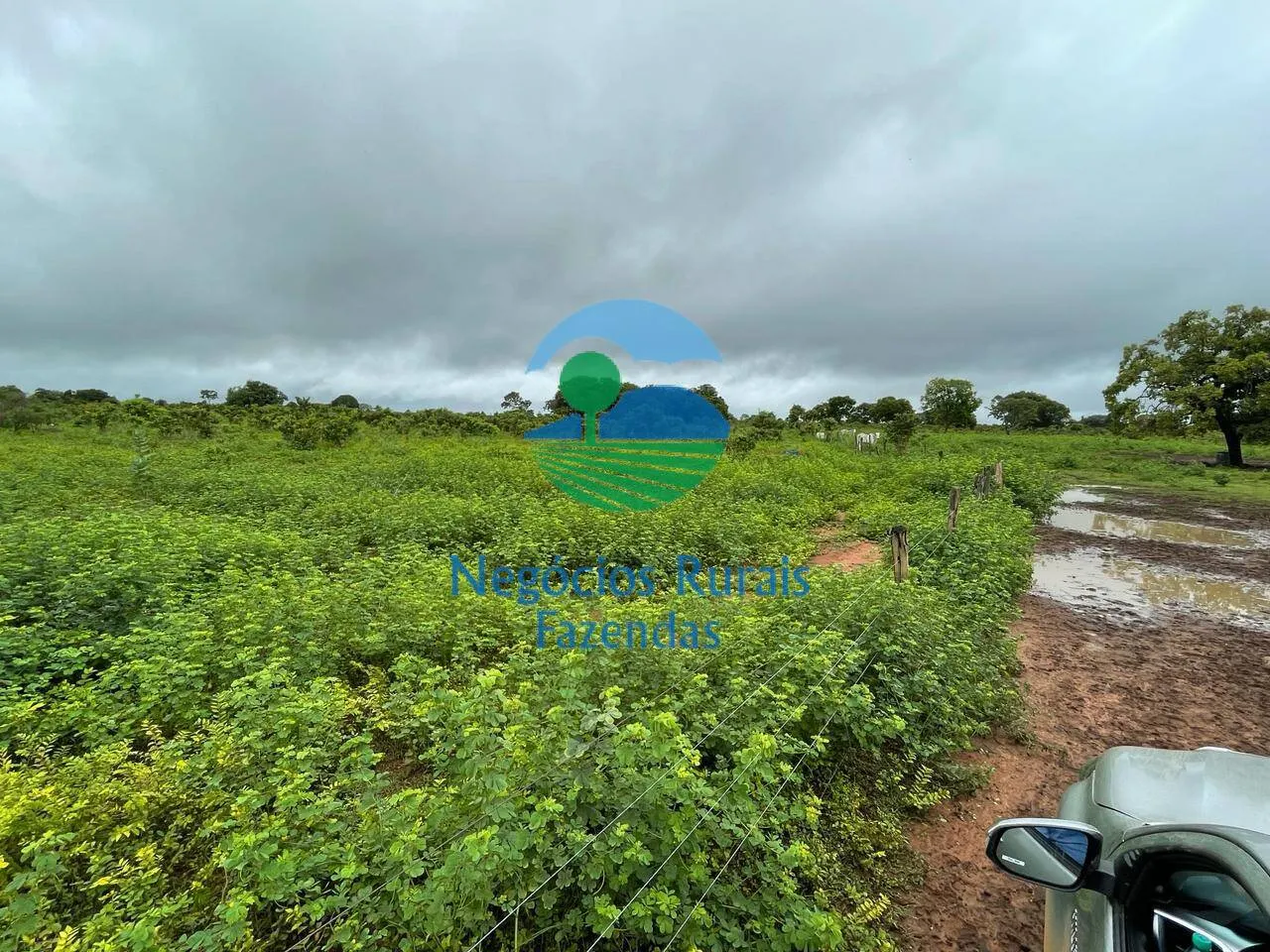 Fazenda à venda e para Arrendar de 1.258 ha em Peixe, TO, Brasil