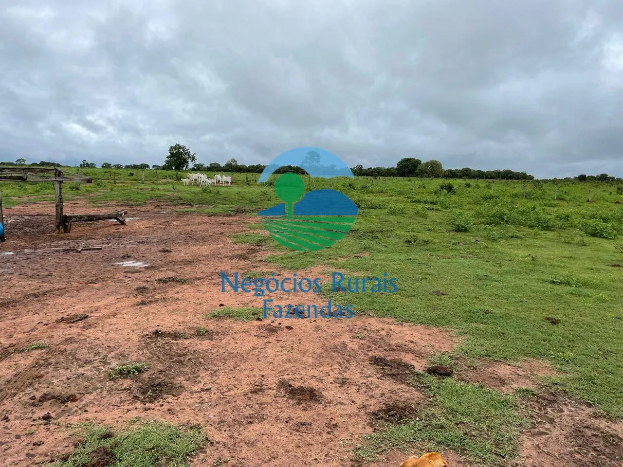 Fazenda à venda e para Arrendar de 1.258 ha em Peixe, TO, Brasil