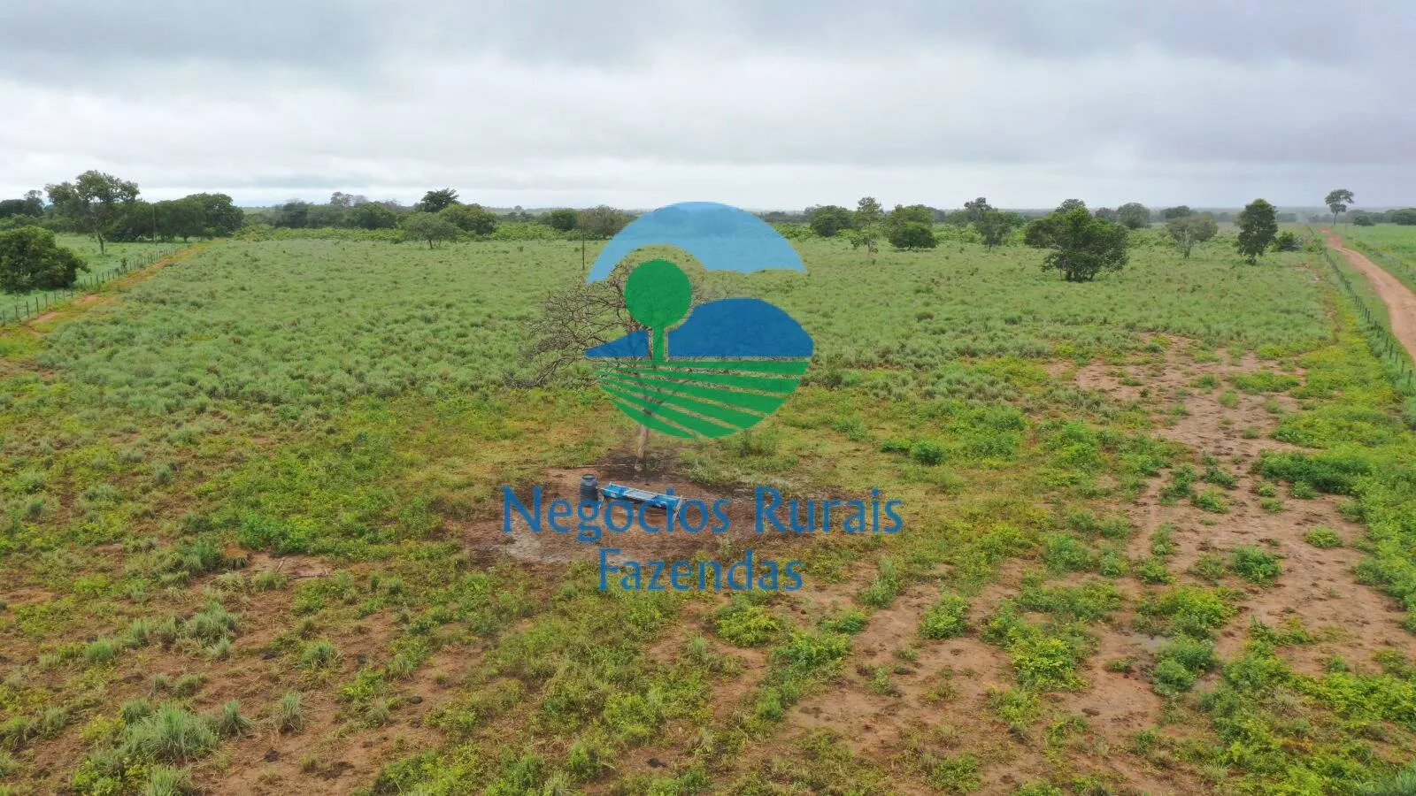 Fazenda à venda e para Arrendar de 1.258 ha em Peixe, TO, Brasil