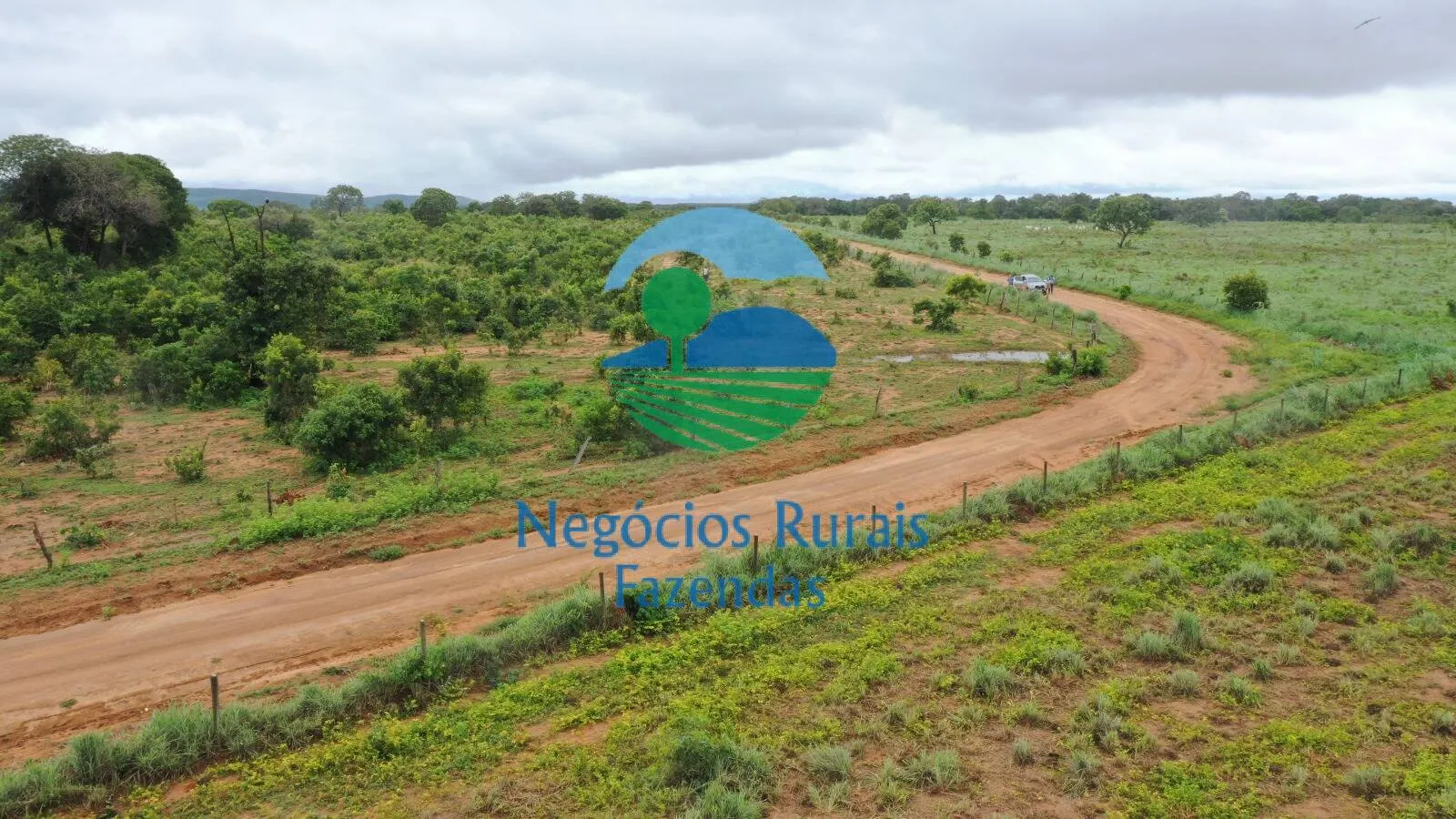 Fazenda à venda e para Arrendar de 1.258 ha em Peixe, TO, Brasil