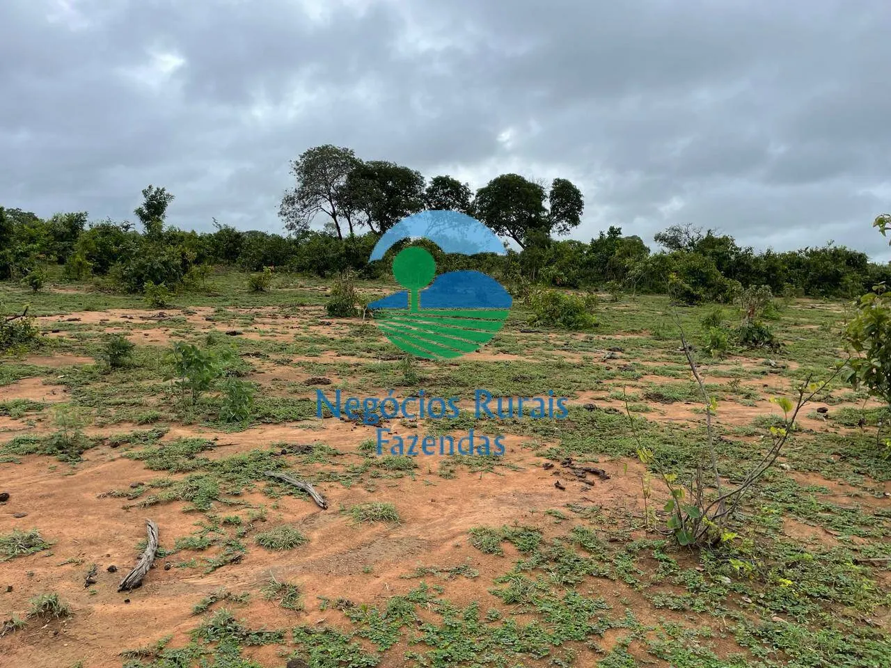 Fazenda à venda e para Arrendar de 1.258 ha em Peixe, TO, Brasil