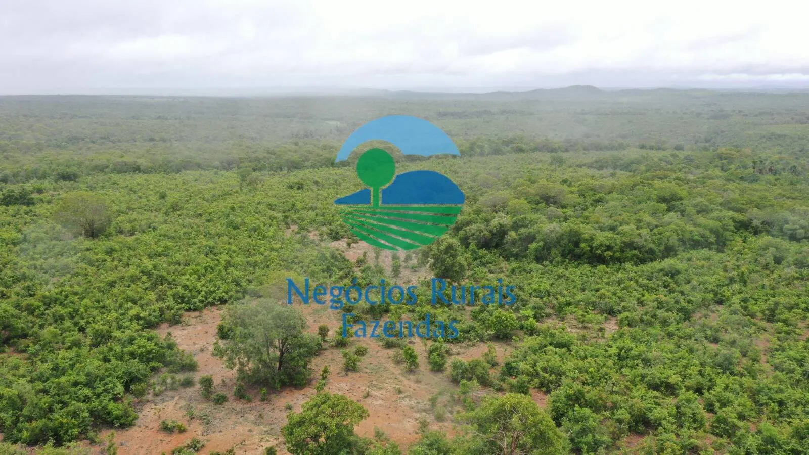 Fazenda à venda e para Arrendar de 1.258 ha em Peixe, TO, Brasil