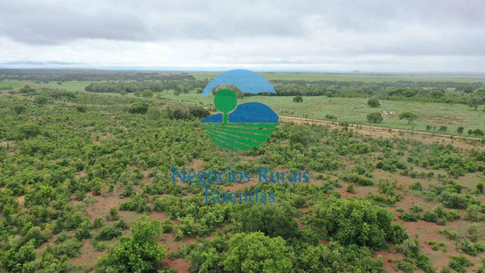 Fazenda à venda e para Arrendar de 1.258 ha em Peixe, TO, Brasil