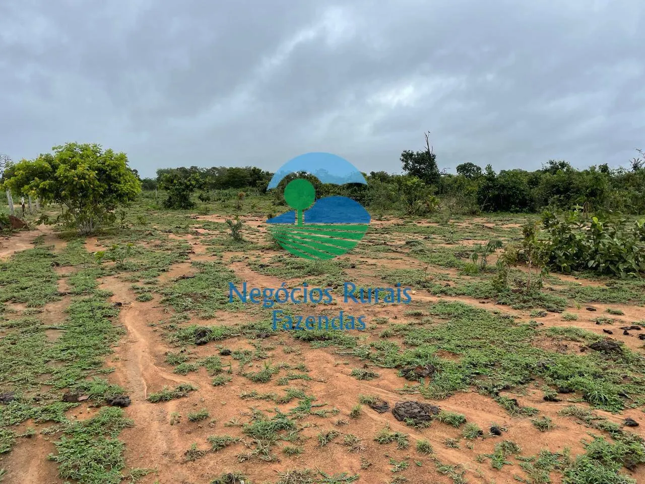 Fazenda à venda e para Arrendar de 1.258 ha em Peixe, TO, Brasil