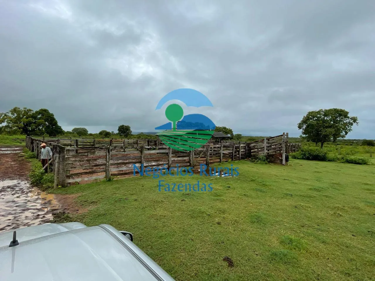 Fazenda à venda e para Arrendar de 1.258 ha em Peixe, TO, Brasil