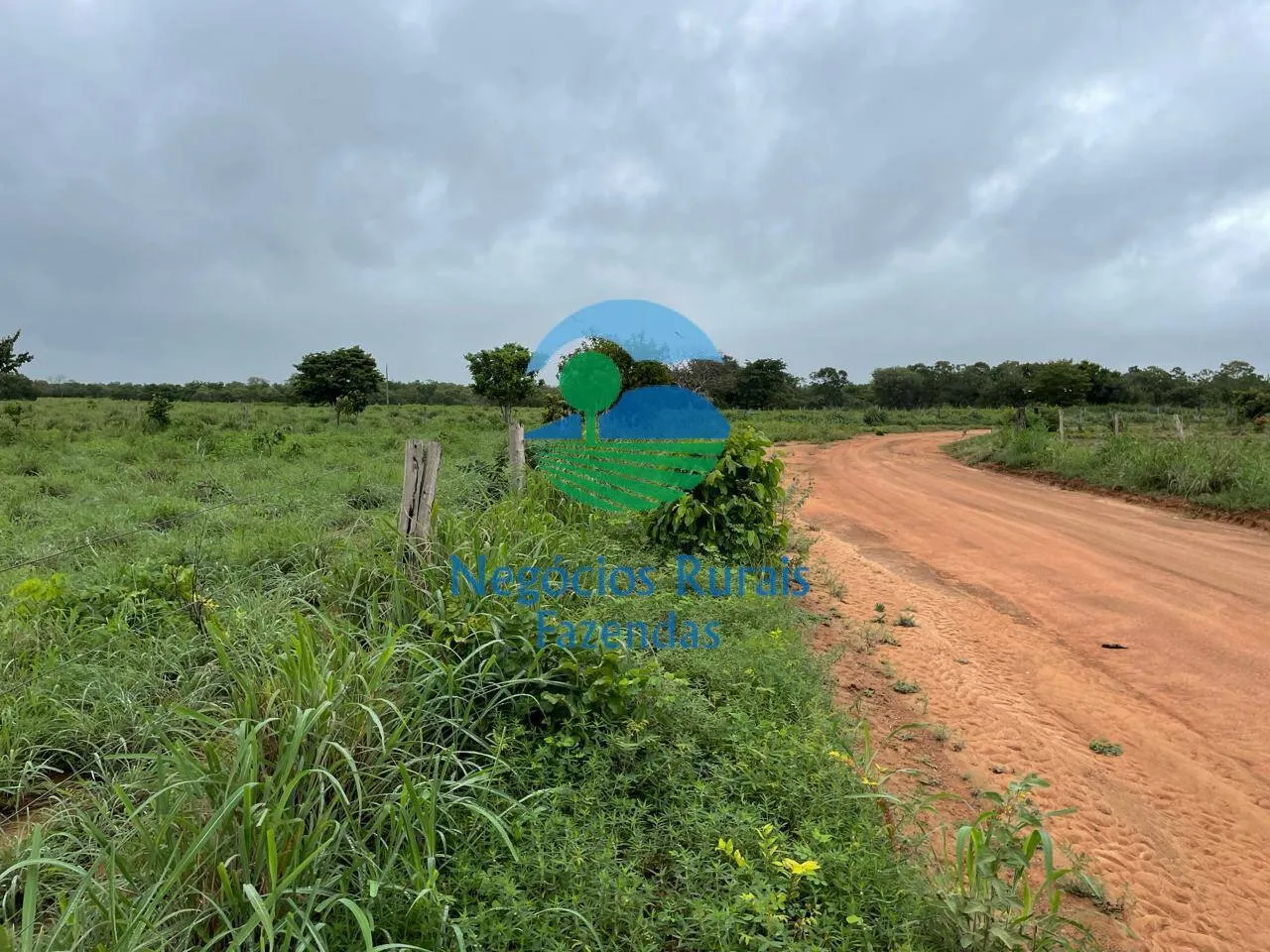 Fazenda à venda e para Arrendar de 1.258 ha em Peixe, TO, Brasil